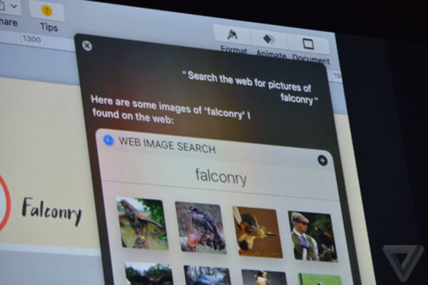 На мгновение, вот пример, который Apple продемонстрировала сегодня: «Поиск в Интернете картинок соколиной охоты» перед Siri, как показано ниже на снимке экрана с   отличный живой блог The Verge сделал из основного доклада WWDC   :